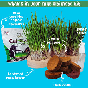 organic cat grass kit